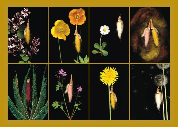 Kaartenset de Goede nacht feeën van Het Magische Toverbos